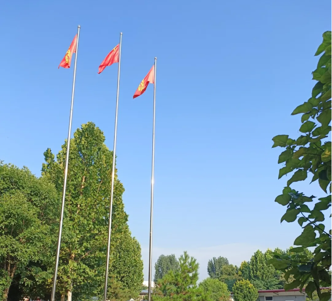 1722481496995649HNrH.png 1722481418680.png